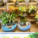 신진광택 이미지