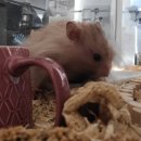 신명나는 삶을 위하여 | 충만한 삶을 위하여