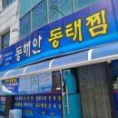 동해안 동태찜 | 부여 동태찜 맛집 어디일까? 현지인 추천 동해안 동태찜 후기