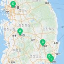 낭만펫 강아지분양 고양이분양 대전 본점 이미지