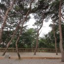 조양로103번길 이미지