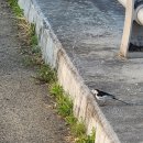 대양면사무소 이미지