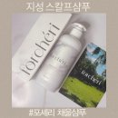 지성두피 고민 저속노화 스칼프샴푸 포셰리 채울