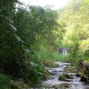 시래기코다리찜 이미지