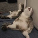 상무병원 이미지