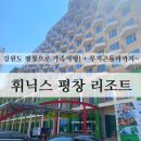 골드케니언 | [강원도 평창] 공기 좋은 가족여행 리조트, '휘닉스평창'! 루지랜드와 곤돌라까지~