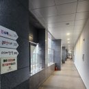 세아짬뽕 - 서대문구 이화여대8길 123 | 북아현동 중식 맛집 추천 세아짬뽕 내돈내산