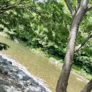 [완주] 대전근교,운주계곡🌊아로니아펜션 (비수기 강아지동반)