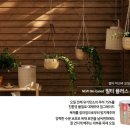 우드플러스 이미지