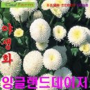 티티산업