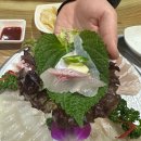 대백수산 - 달서구 이곡공원로 38 | 대구 칠곡3지구 횟집 야외감성포차 신선한회 활어회맛집 싱싱회수산