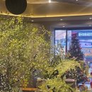 꼬기꼬기 | 부산 빵지순례 부곡동 카페 추천 홀케이크 맛집 201 베이커리 내돈내산 후기