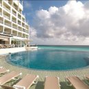 팔레스 레스토랑 이미지