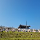 커플모텔 | 2026 성주참외축제 기본정보 총정리! 5월에 가볼만한곳 찾는다면 여기 분위기 좋다