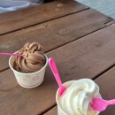 장원농장 | 서울 근교 가을 나들이 경기도 안성팜랜드 코스모스 핑크뮬리 근처 맛집