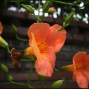 재동초등학교 후문 이미지