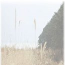 한샘부엌가구