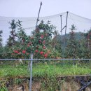 바람이좋은화산마을 이미지