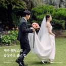 피츠로이 | 제주 웨딩스냅, 감성숙소 홈스냅으로 남긴 피츠로이 후기