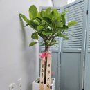 나를 발견하는 스피치 이미지