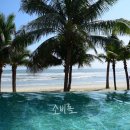 스위트젠 이미지
