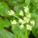 계절여행 이미지