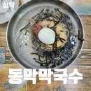하마읍 | 삼척 동막막국수 줄 서는 식당 현지인 솔직후기