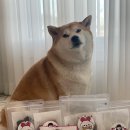 멍이부뚜막 이미지