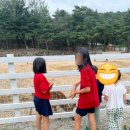 파니퍼니홈 이미지