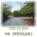 자연애 | 가족과 함께한 나주 캠핑장 자연애스토리 후기