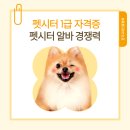강 동물병원(산업동물출장진료 동물병원) | 펫시터 자격증 100% 무료 강의 취득 방법 - 자격증 있으면 확실히 다른 경쟁력과 신뢰도