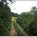 성송초등학교 이미지