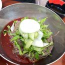 강원도막국수 | 점심 기록) 수원 강원도 막국수(수원역 맛집, 수원역 강원도 막국수)