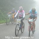 단월 포레스트펜션 이미지