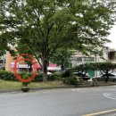 잠실7동주민센터 이미지