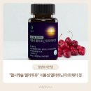 정시스템 | 헬시캐슬 멜라투유 식물성 멜라토닌 타트체리 정 후기｜글림프시스템 뇌청소 &amp; 수면리듬 회복 영양제