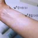 버드패밀리 | 무기자차 선크림 추천 | 민감 피부 백탁 끈적임 잡은 버드데이트 패밀리 러브 (여름 야외 선크림)