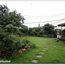 다인수제비 이미지