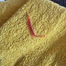 원성준영상의학과동물병원 이미지