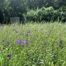 관악산 자연학습장 화장실 이미지