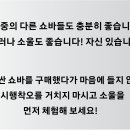 대웅모터스 이미지