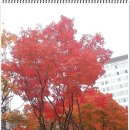 묵정어린이공원 이미지