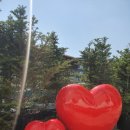 둘리세탁소 이미지