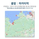 애니고글 이미지