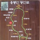 제1366차 새롬산악회 정기 산행 울진 응봉산(998.5m) 이미지