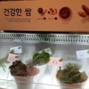 모리야채