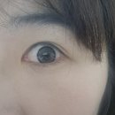 강릉퍼펙트샵