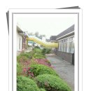 광성초등학교 이미지