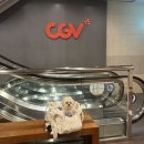 인천 애견동반 영화관 주안 CGV 시네멍 반려견 동반 데이트 후기 (예약/주차 꿀팁)