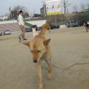 이천공설운동장 이미지